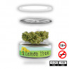 FLORI CANEPA LEMON TREE  CBD 3.5g