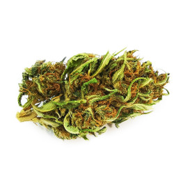 Green Island CBD 7% 10g